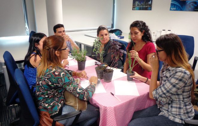 Huerta-Orgánica-en-BA-2